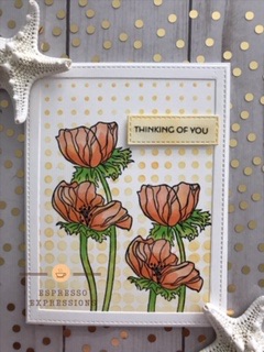 UNADJUSTEDNONRAW_mini_c14